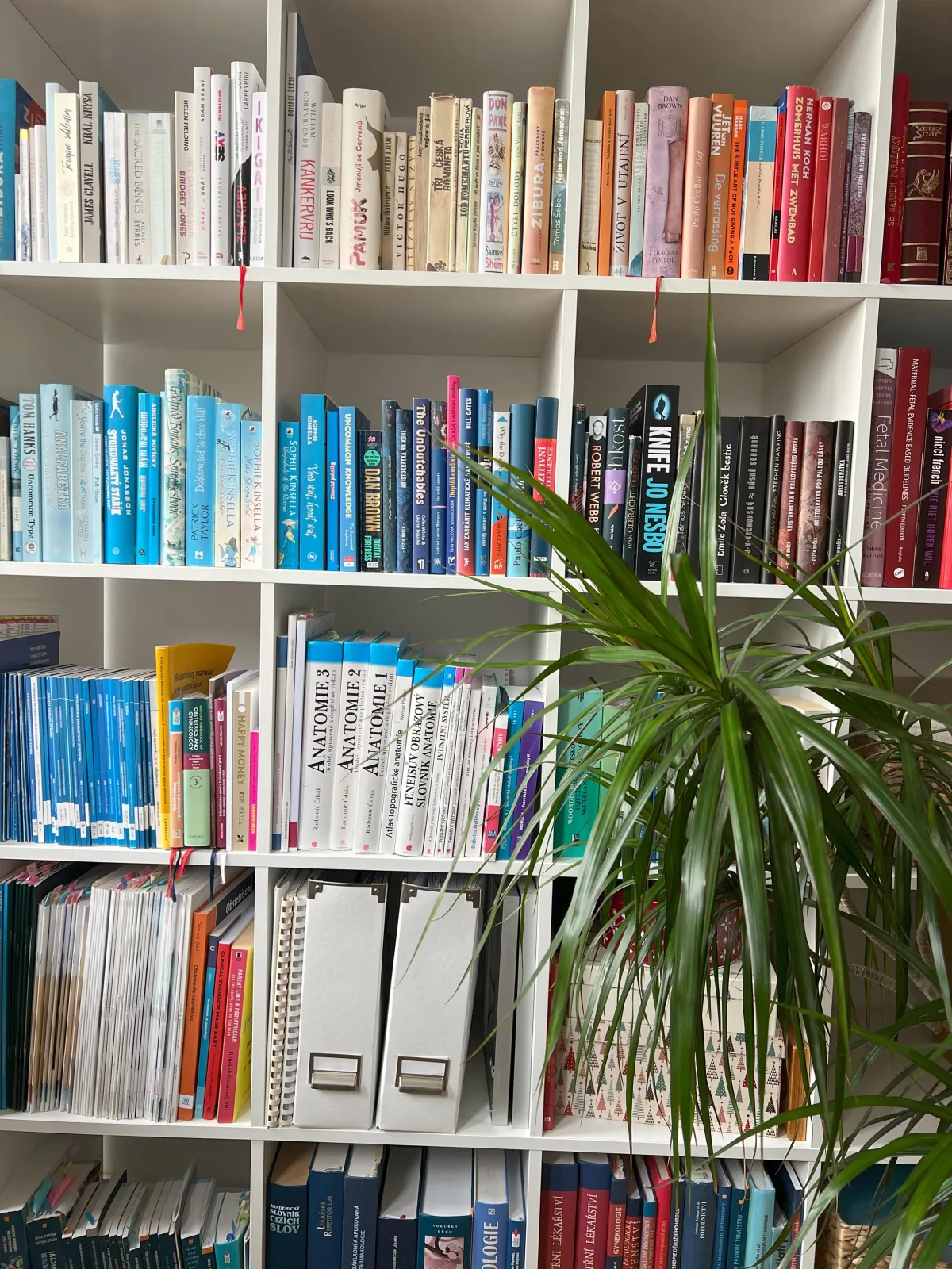 Bookshelf detail from Adela's Delft office: books and framed certificates