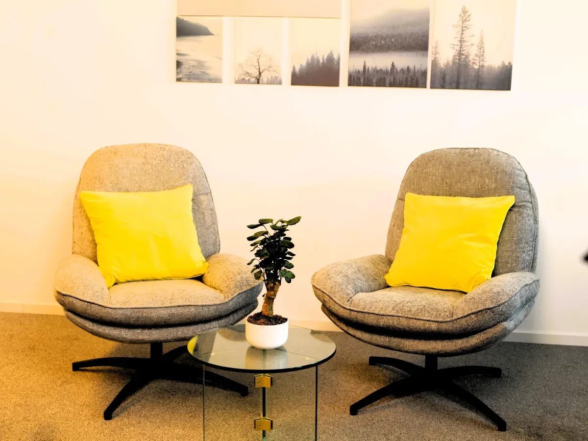 The consultation corner at the Growth Guide practice: two armchairs ready for a session
